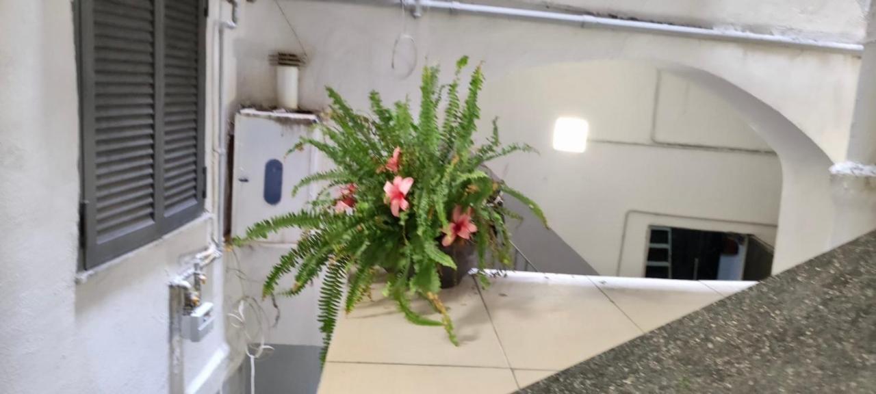 Centro Storico S Chiara House Apartman Nápoly Kültér fotó